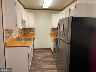 5802F Olive Ct unit 415, Frederick, MD 21703 - photo 2