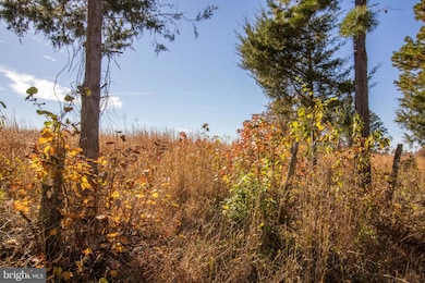 TBD Piney Grove Rd unit 21, Alton, VA 24520 - photo 5