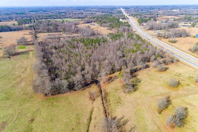 10.23 Acres Alabama 157, Town Creek, AL 35672 - photo 7