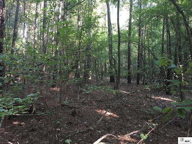 000 Highway 552 unit 20ac+/- North and So, Downsville, LA 71234 - photo 5