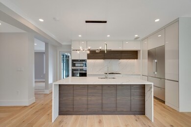 80 Verndale St unit 80, Brookline, MA 02446 - photo 4