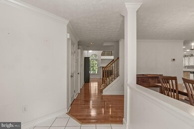 6304 Martin Rd, Columbia, MD 21044 - photo 6