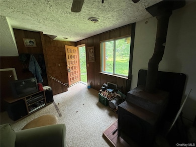 9 Lake Dr, Parksville, NY 12768 - photo 6