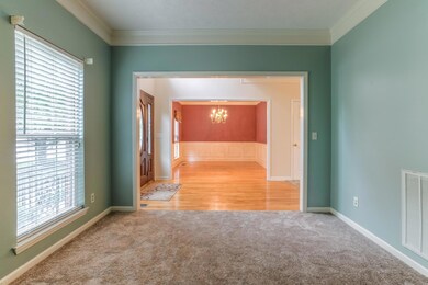 New Carpet 