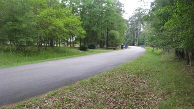 00 Cimmaron Rd, Stagecoach, TX 77355 - photo 4