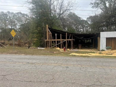 31487 County Road 107, Red Level, AL 36474 - photo 4