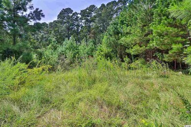 lot 65 Tidway Cir, Conway, SC 29527 - photo 5