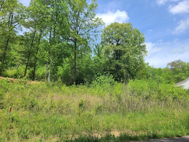 Hudlow Loop Road 3