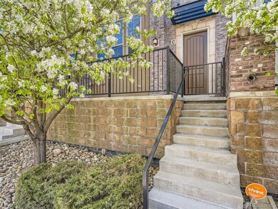 1000 Elmhurst Dr unit C, Highlands Ranch, CO 80129 - photo 4