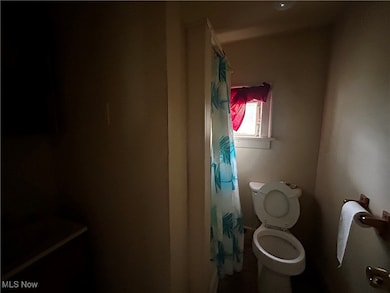 Bathroom with a shower with shower curtain and toilet