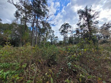 188 Private Road 8040, Kirbyville, TX 75956 - photo 6