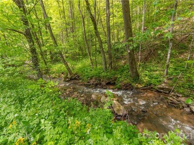 TBD Fox Creek Rd unit Lot 10, Burnsville, NC 28714 - photo 5