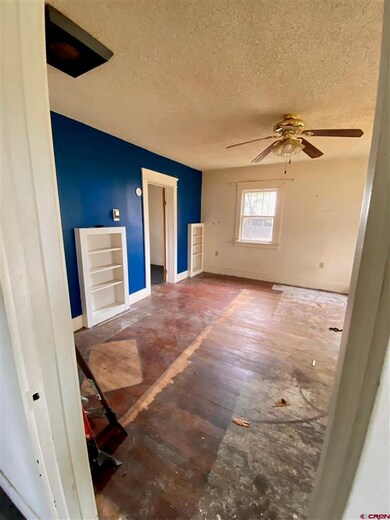 145 1/2 NE 4th St, Cedaredge, CO 81413 - photo 5