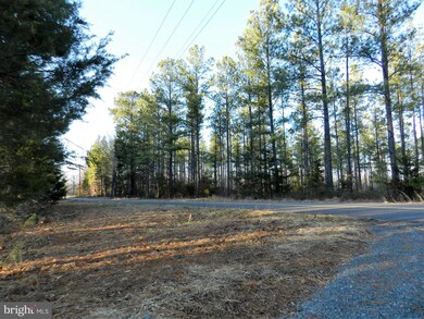 0 Eleys unit VACU2002268, Lignum, VA 22726 - photo 6