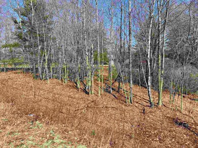 0 N Wakefield Rd, Wakefield, NH 03872 - photo 5