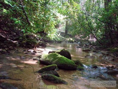 Johns River