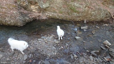 Lot 78 Trough View Rd, Old Fields, WV 26836 - photo 2