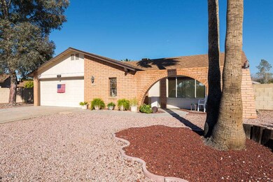 Low maintenance front yard landscape
