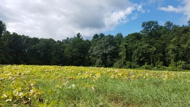 0 Old Sunderland Rd unit 72387546, Montague, MA 01351 - photo 3