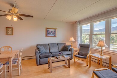 28 Packard Rd unit 523, Waterville Valley, NH 03215 - photo 4