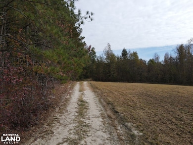 0 Jones Cousins Way, Zebulon, NC 27597 - photo 4