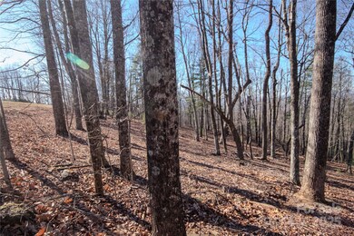 2212 Nighthawk Ridge Ct unit 29, Lenoir, NC 28645 - photo 6