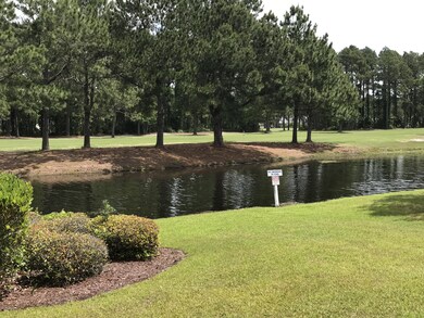 pond in back
