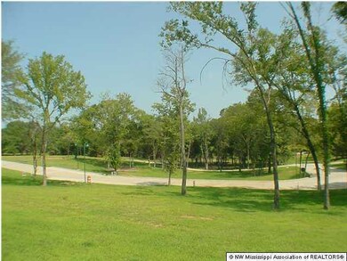 13 Beacon Hill Dr, Hernando, MS 38632 - photo 3