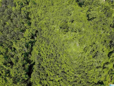 1912 Lay Dam Rd, Clanton, AL 35045 - photo 7