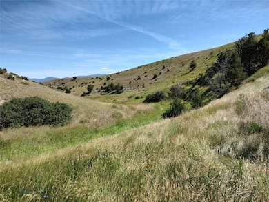 Eight Mile Creek Gully, north edge of Lot 102..