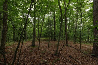 0 Tower Mountain Ln unit 666341, Mount Jackson, VA 22842 - photo 5