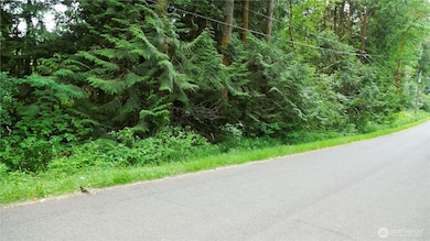 113 xx 312th Ave NE, Lake Marcel-Stillwater, WA 98014 - photo 7