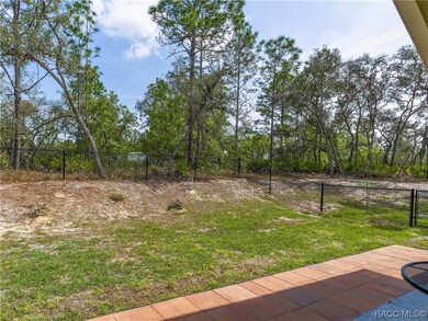 6229 W El Dorado Ln, Beverly Hills, FL 34465 - photo 5