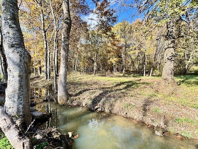 4740 Ash Hill Rd, Spring Hill, TN 37174 - photo 6