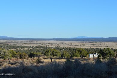 9908 Gleed Station Rd unit 187, Ash Fork, AZ 86320 - photo 5