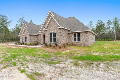 3975 Davis Sawmill Rd, Lucedale, MS 39452 - photo 2