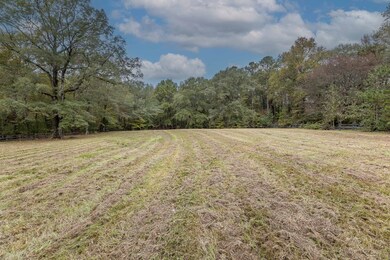 7901 Shallowford Rd, Upatoi, GA 31829 - photo 3