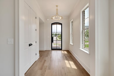 10767 Magnolia Park Cir S, Collierville, TN 38017 - photo 3