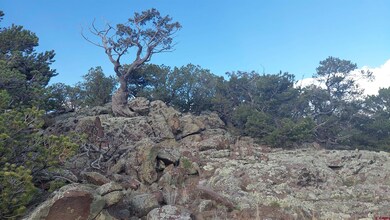 37 Turkey Creek Rd, South Fork, CO 81154 - photo 5