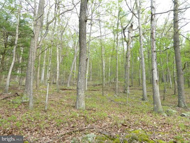 3 Cardinal Run, Augusta, WV 26704 - photo 3