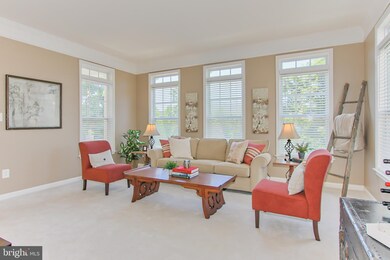 25014 Mineral Springs Cir, Stone Ridge, VA 20105 - photo 6