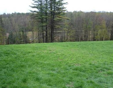 unlisted-address, Livermore, ME 04253 - photo 3