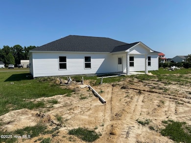 3043 Falcon Ct, Deep Run, NC 28525 - photo 3