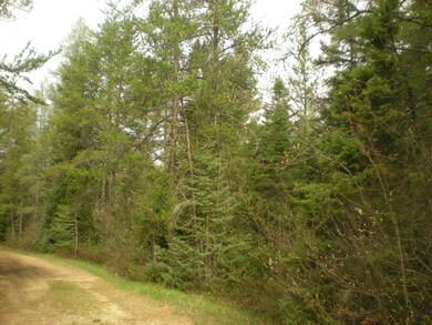 Murphy creek trail 20 and 40 ac parcel 0
