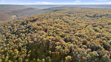 680 Rattlesnake Spring Rd, Sewanee, TN 37375 - photo 6