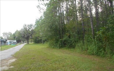 unlisted-address, Lake City, FL 32055 - photo 3