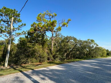 0 Nuzum Rd unit 2255389, North Weeki Wachee, FL 34613 - photo 2