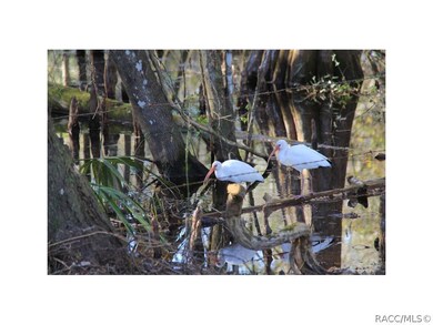 YOUR PRIVATE BIRD SANCTUARY