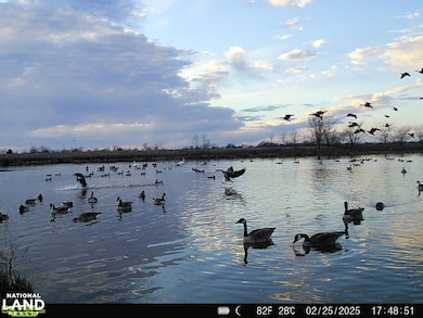 0 Hwy 39, Hepler, KS 66746 - photo 3