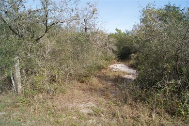 CLEARED AREA OFF TURKEY OAK TRAIL IN BACK OF LOT